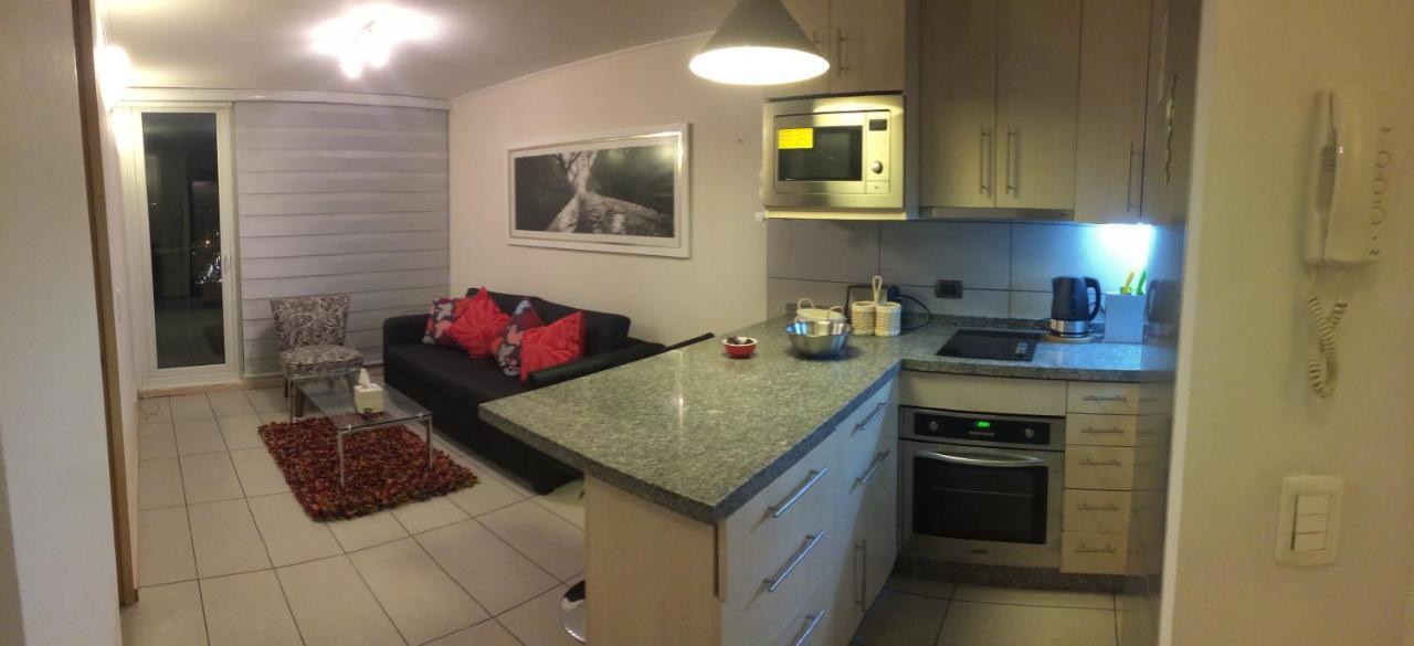 圣地亚哥Departamento De Lujo 1 En Barrio Bellavista公寓 外观 照片